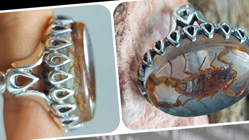 Properties of amber ring